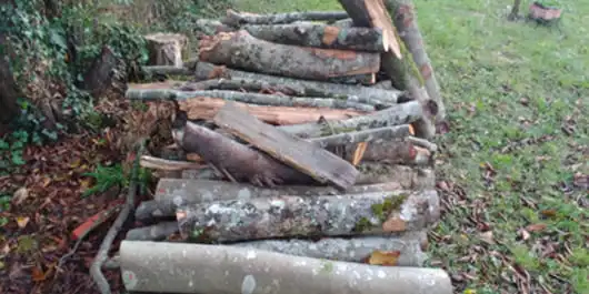 Bois de chauffage © HR/Comminges Direct