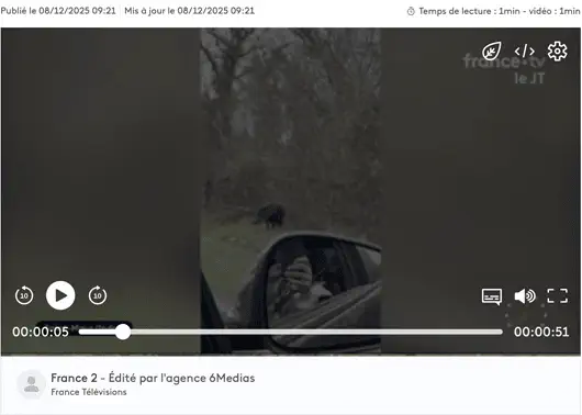 Indre : un chasseur, un sanglier et la viralité qui choque